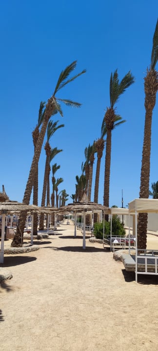 Sonstiges Pickalbatros Alf Leila Wa Leila Resort - Neverland Hurghada