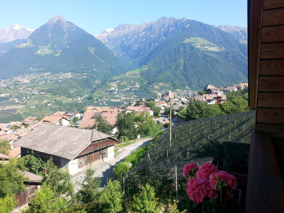 Blick auf die Mutspitze und Schenna  Torgglerhof