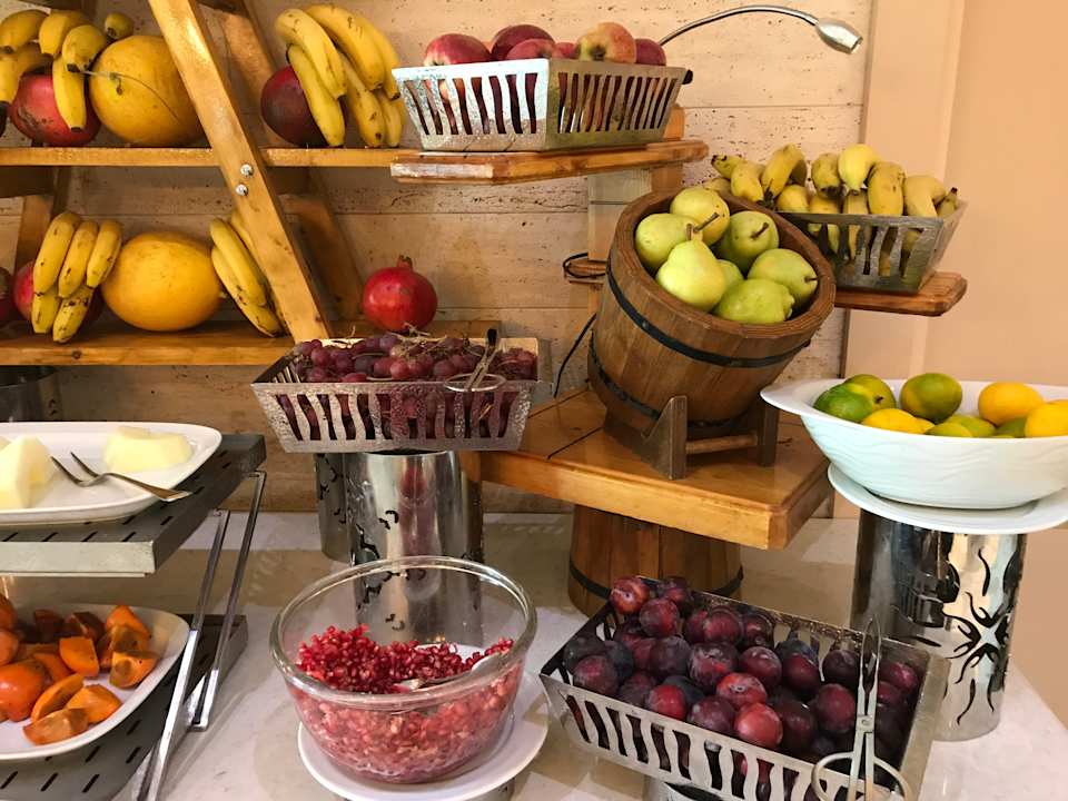 Gastro Acanthus Cennet Barut Collection