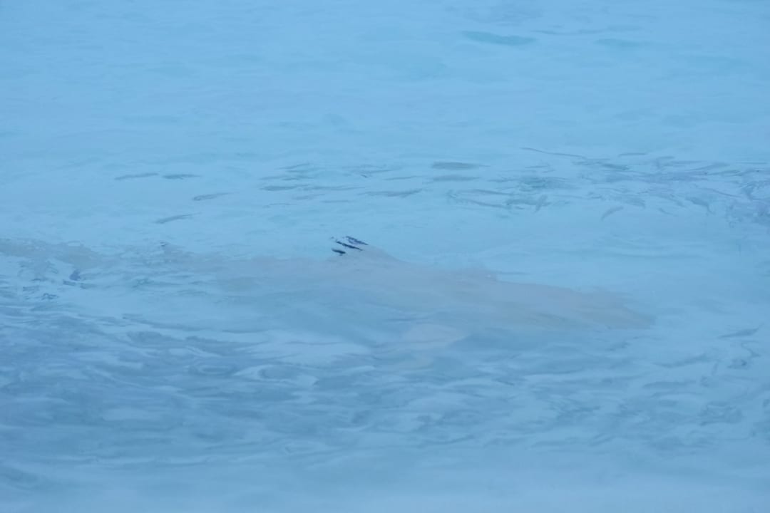 Strand Kuramathi Maldives