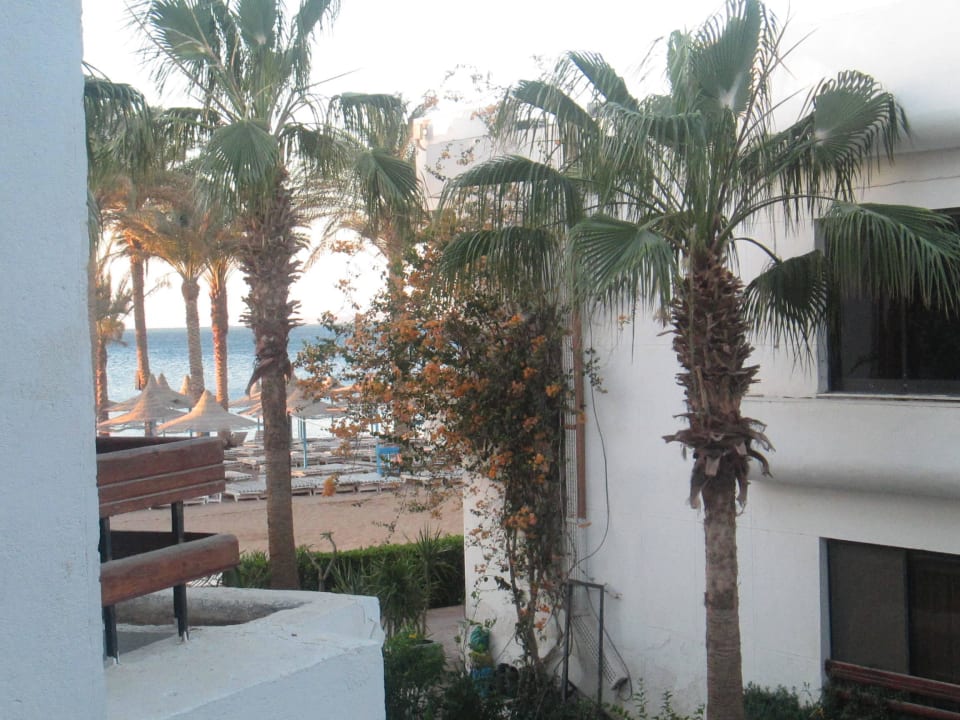 Вид из окна Marlin Inn Azur Resort