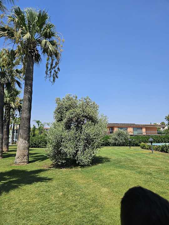 Gartenanlage Megasaray Club Belek