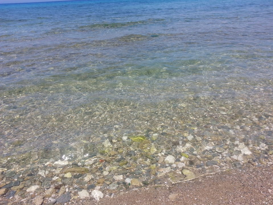 Strand TUI BLUE Caravel