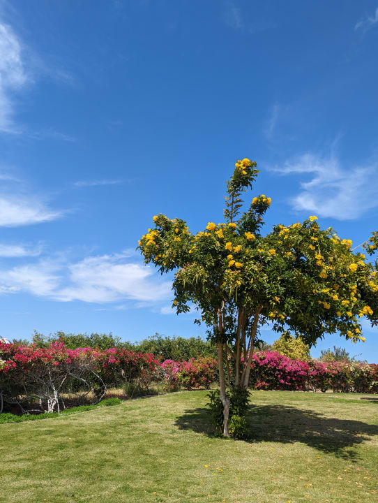 Gartenanlage Cleopatra Luxury Resort Makadi Bay