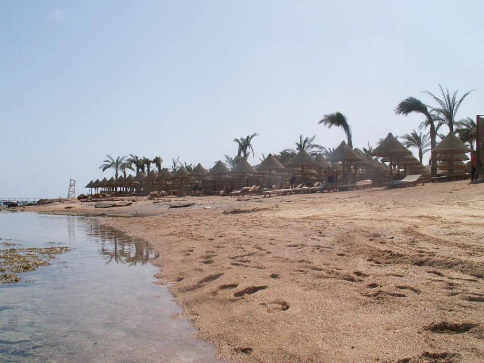 Plaża hotelowa Sharm Grand Plaza Resort