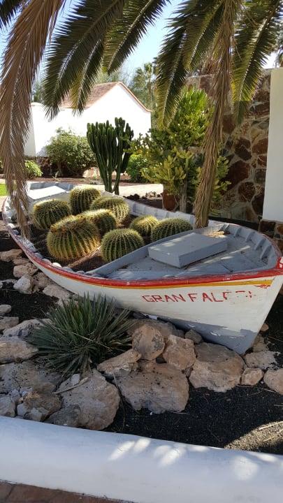 Gartenanlage Aldiana Club Fuerteventura