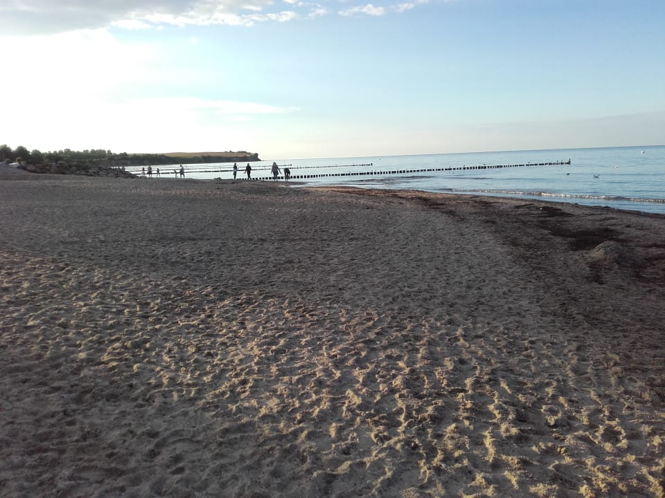 Strand weiter hinten zur Steilküste  Seehotel Großherzog von Mecklenburg