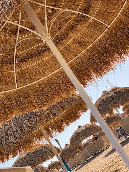 Strand Sentido Reef Oasis Suakin