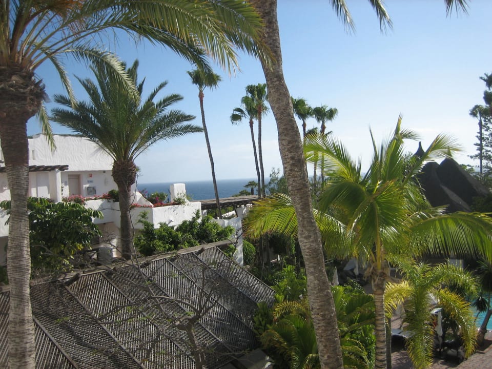 Vom Balkon Dreams Jardín Tropical