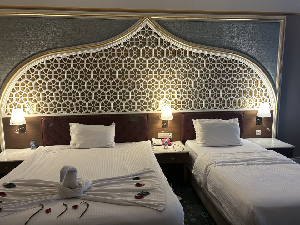 Zimmer Royal Taj Mahal Hotel