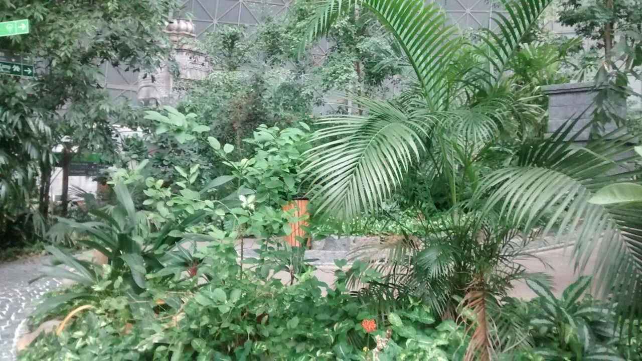 Umgebung Tropical Islands Resort