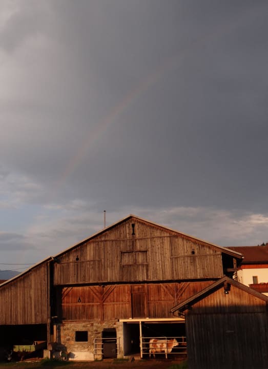 Der Stall Bio - & Kinderbauernhof Fritzer