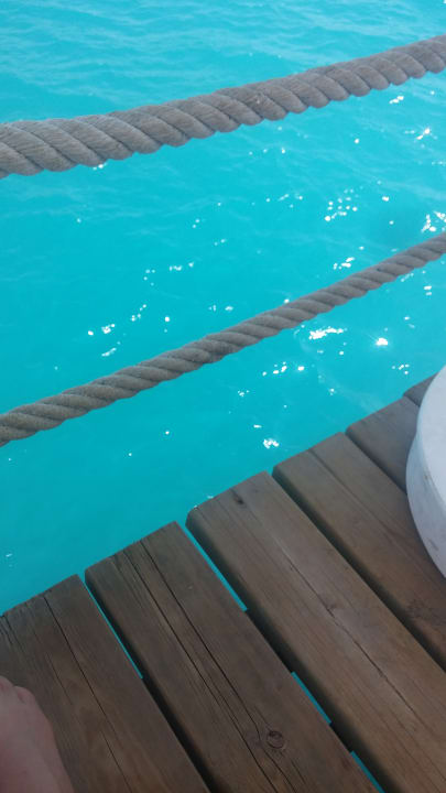 Pool Hotel Botanik Platinum