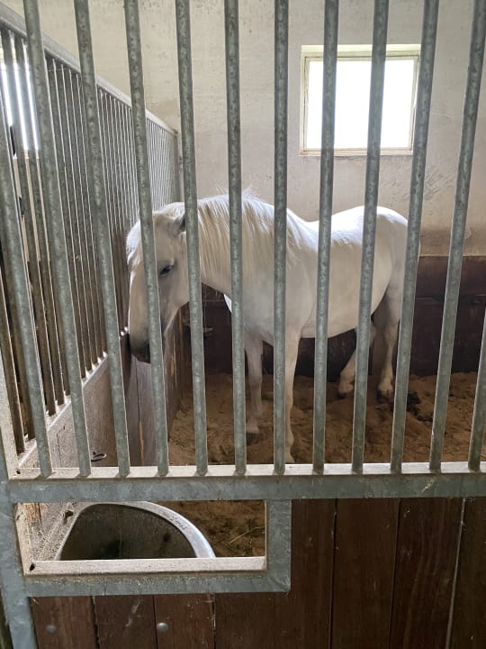 Sport & Freizeit Aldiana Club Ampflwang