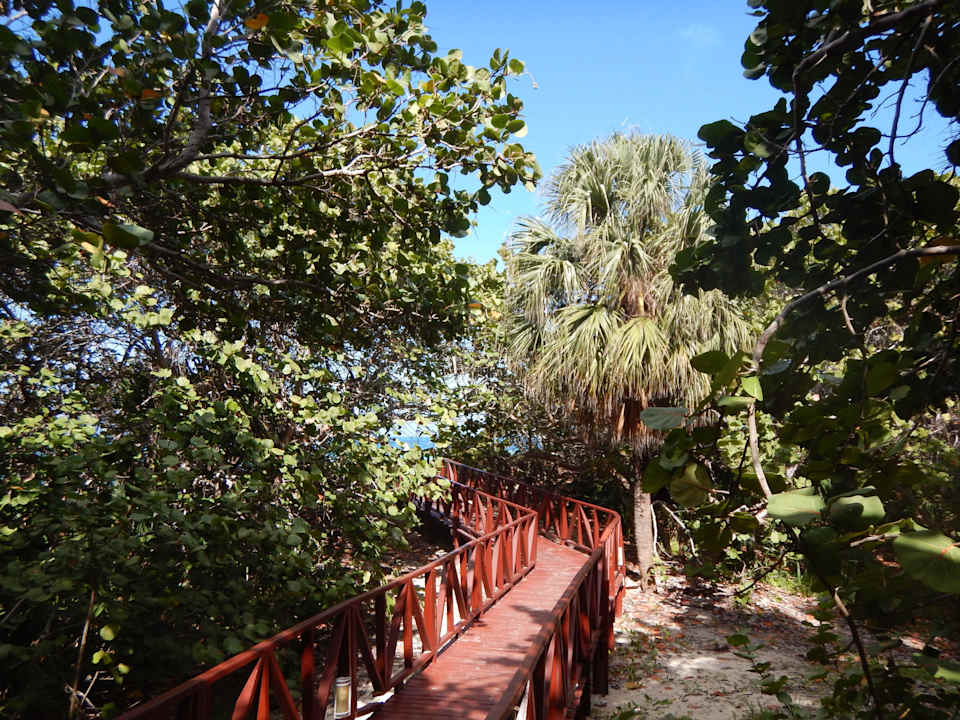 Weg zum Strand Iberostar Origin Taínos