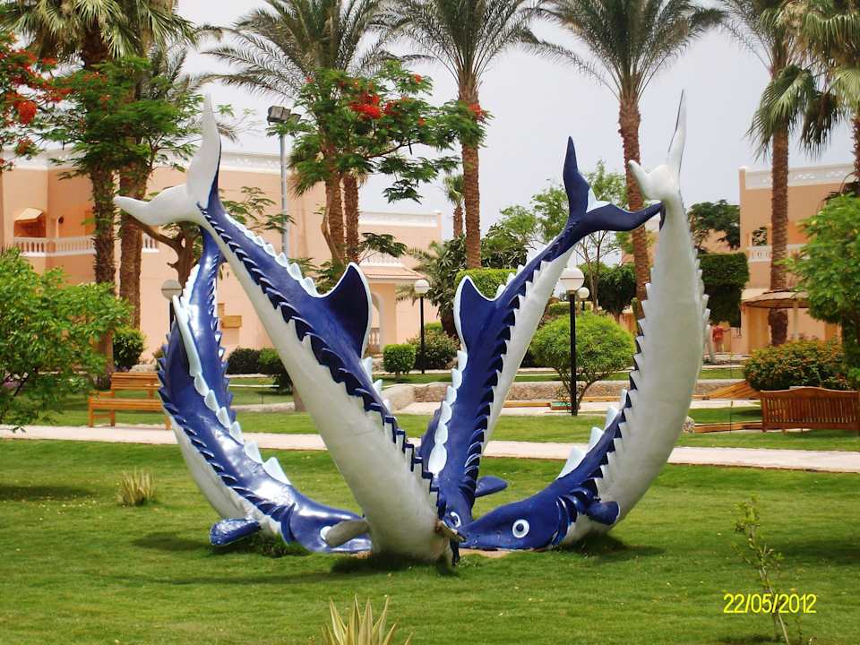 Schön gestaltet Beach Albatros Resort