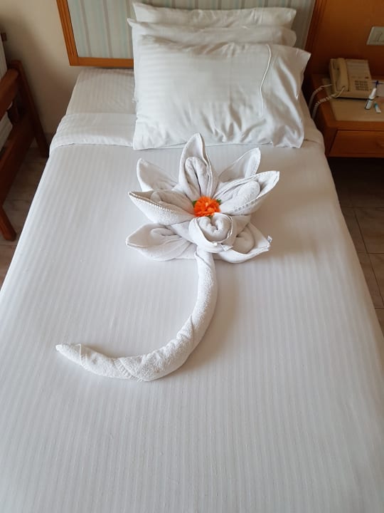 Zimmer Pharaoh Azur Resort