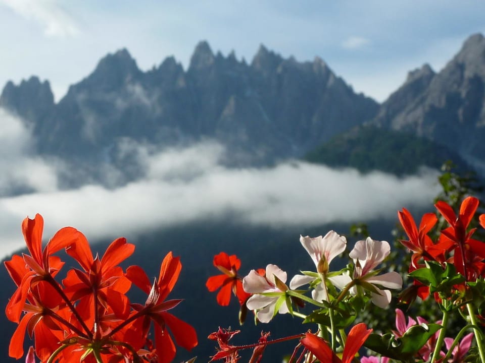 Blick vom Balkon Hotel Schopfenhof