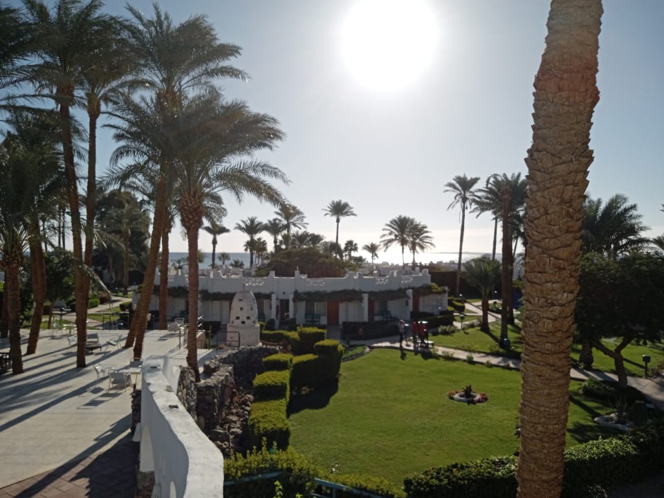 Gartenanlage Shams Safaga Resort