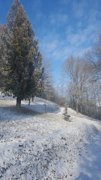 Großer Hauspark mit Spazierwegen und Sitzbänken Vitalhotel König am Park