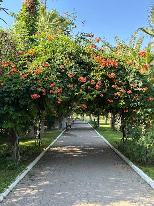 Gartenanlage Hotel Süral Resort