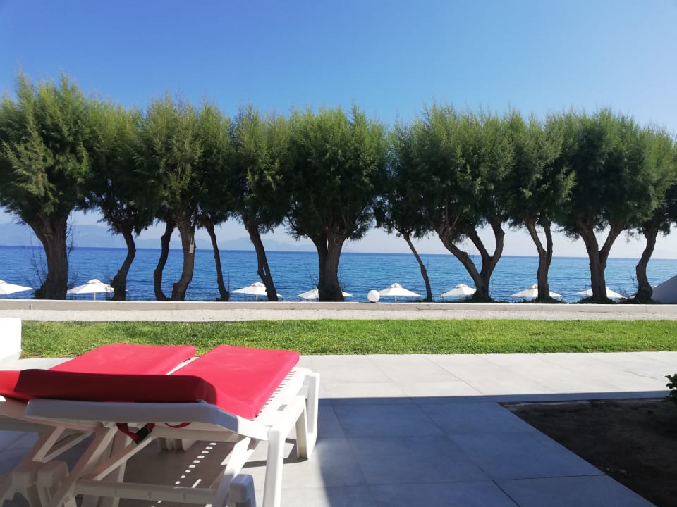Ausblick Dimitra Beach Hotel & Suites