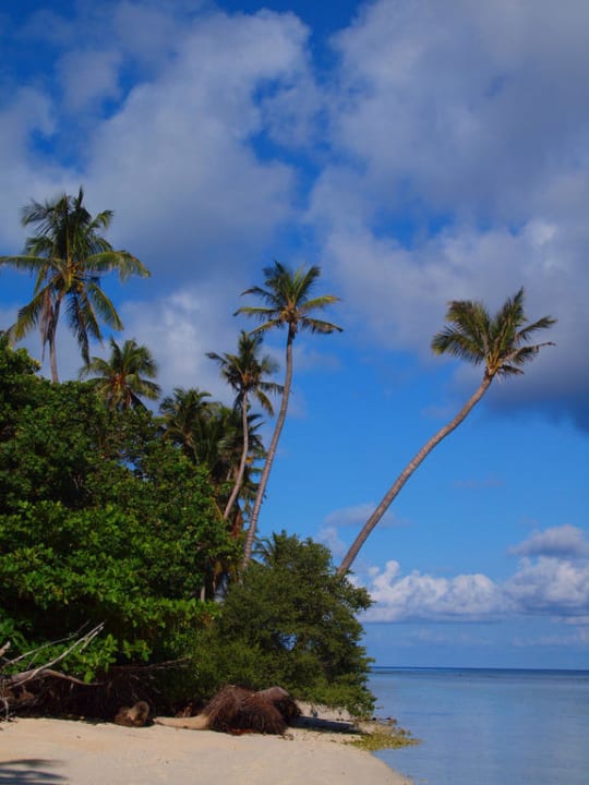 Lagune Kuredu Island Resort & Spa