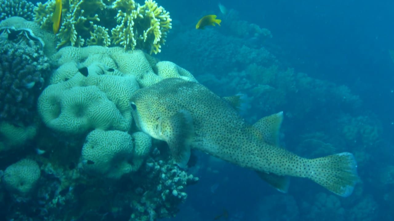 Sport & Freizeit Rohanou Beach Resort