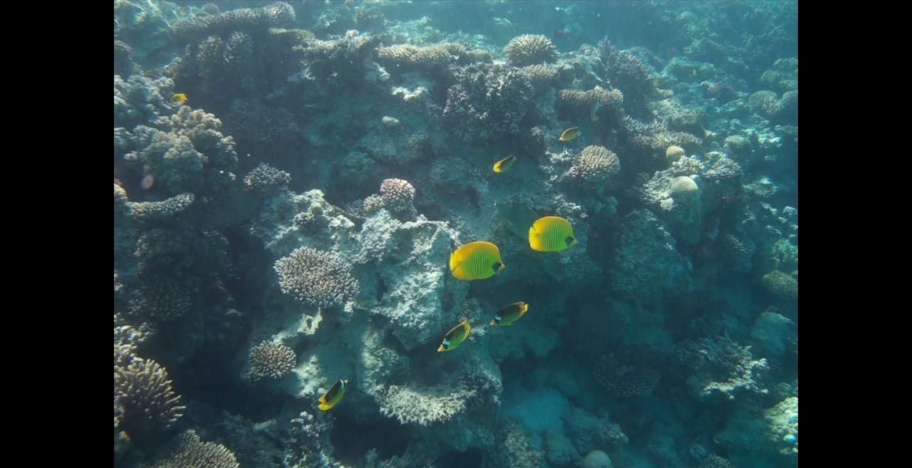 Sport & Freizeit Premier Le Reve Hotel & Spa