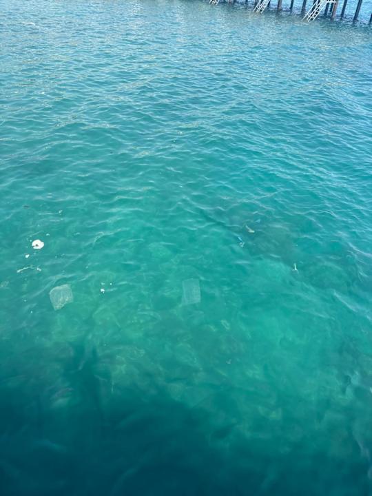 Strand Seven Seas Palmeras Bay Alanya