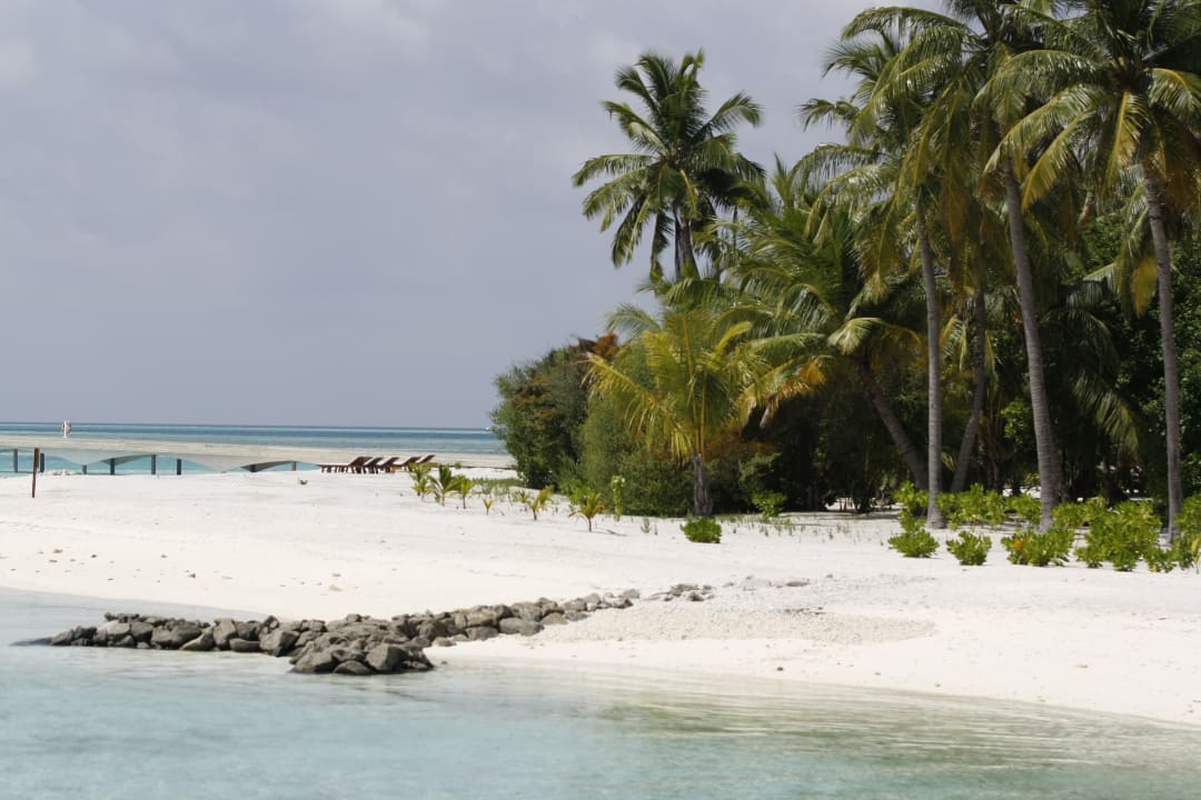 Strand Cinnamon Hakuraa Huraa Maldives