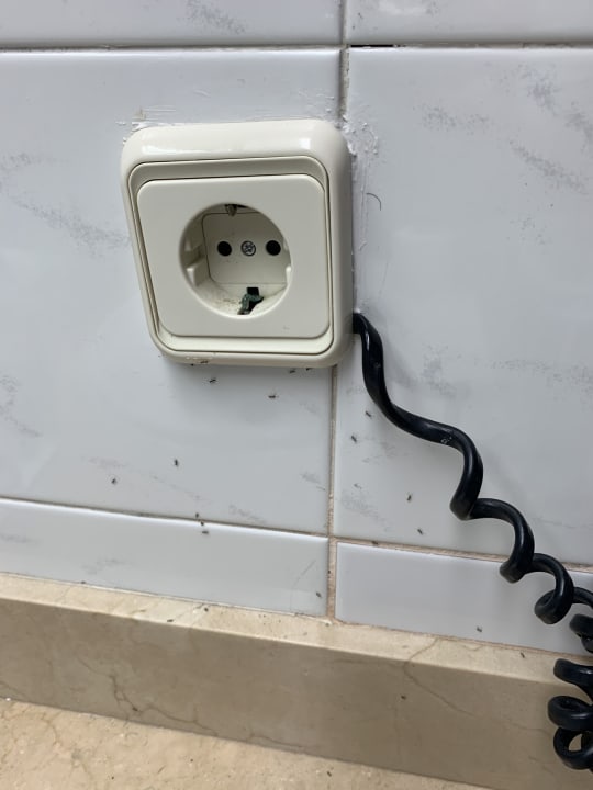 Zimmer Flipflop Cala Romantica