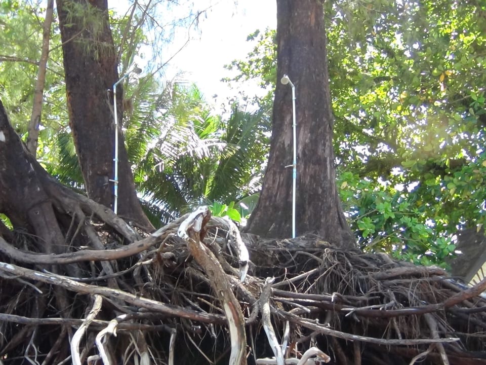 Hier gab es mal Thai-Massage Khaolak Laguna Resort