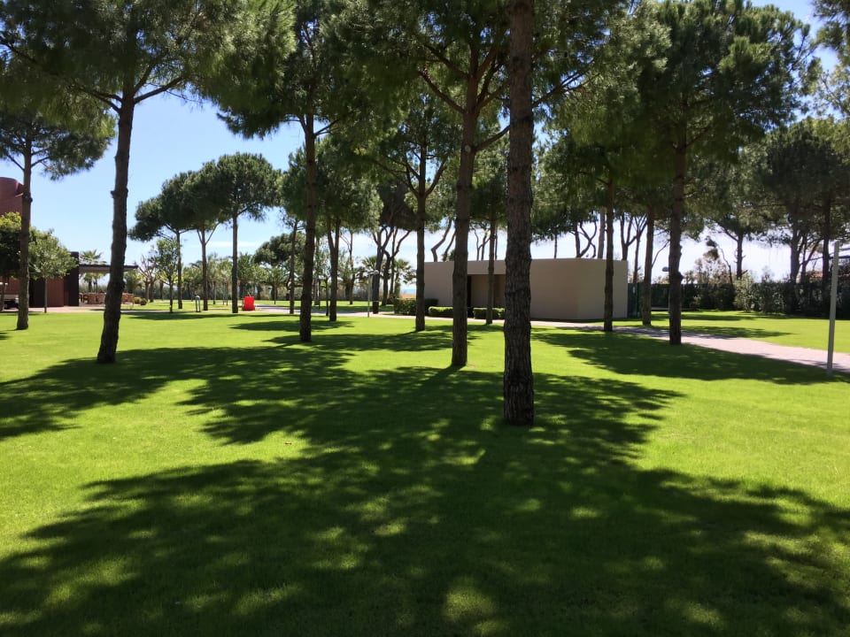 Gartenanlage Gloria Serenity Resort