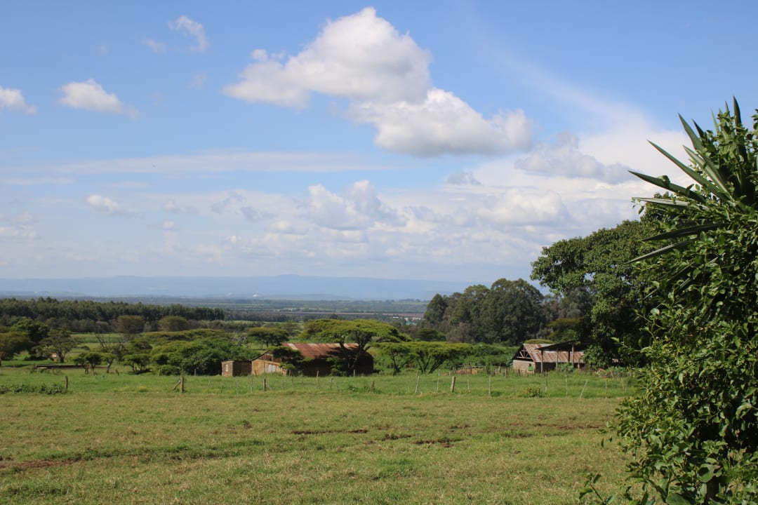 Ausblick Kembu Cottages