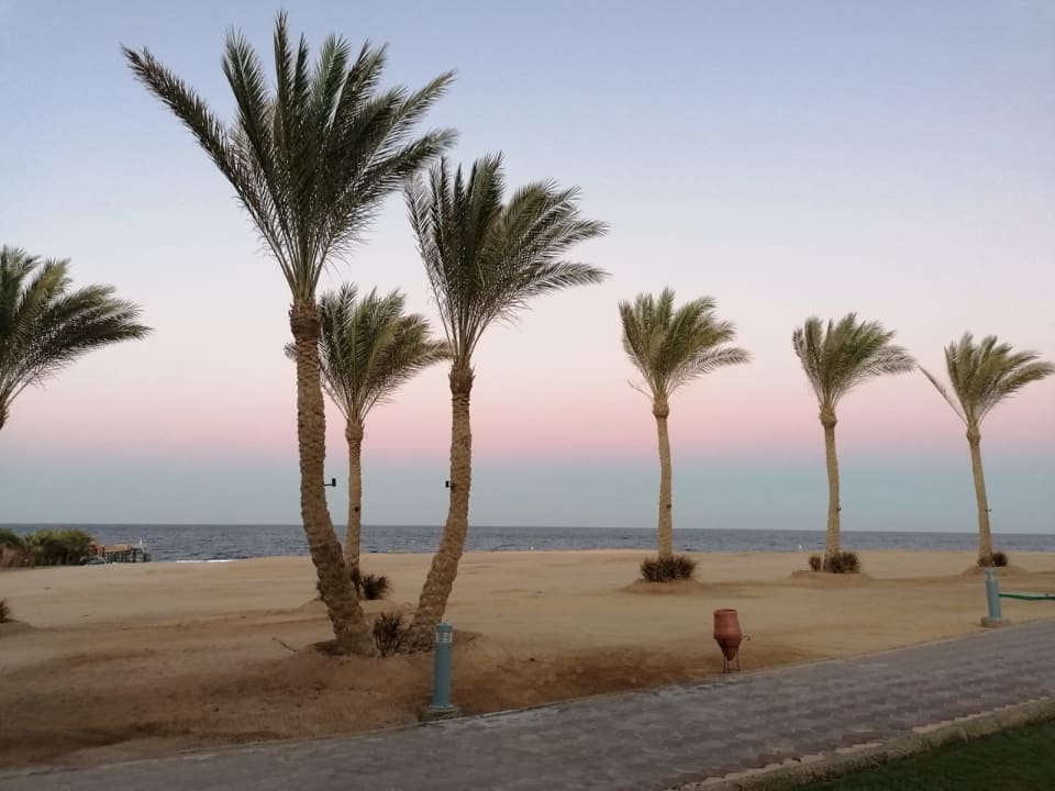 Strand Steigenberger Coraya Beach - Adults only