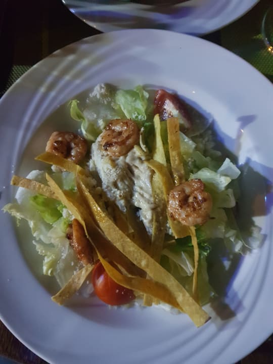 Gastro Tropitel Sahl Hasheesh