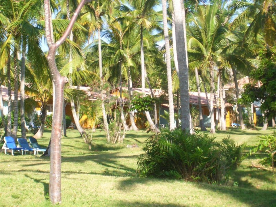 Blick auf die Bungalows Wyndham Alltra Samana