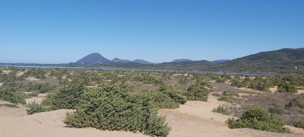 Ausblick Sandy Beach Resort