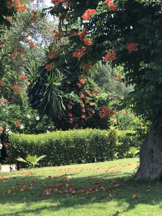 Gartenanlage Mr. & Mrs. White Corfu