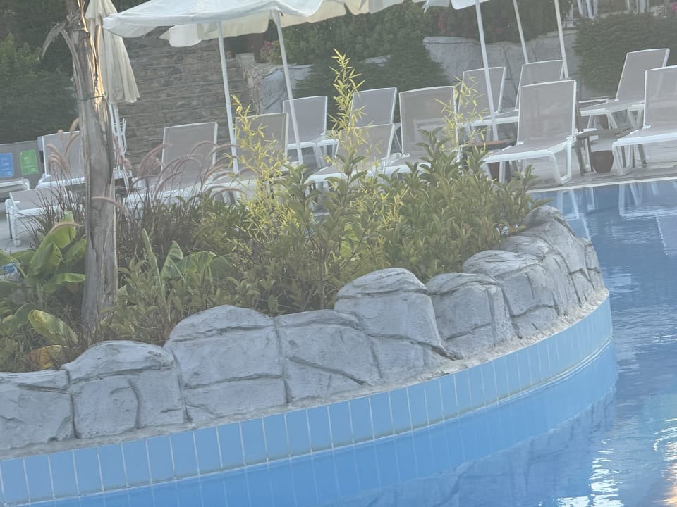 Pool Arnor de Luxe Hotel & Spa