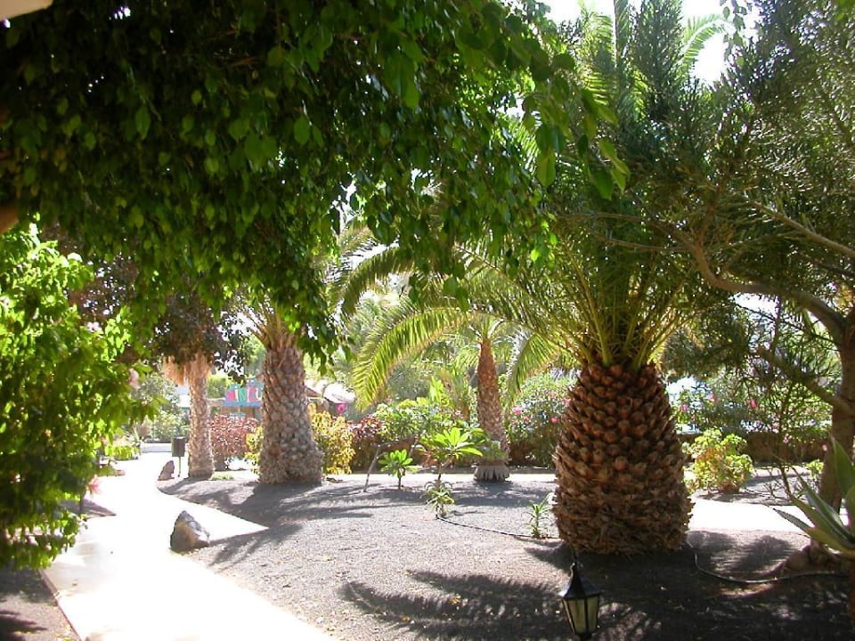 Hotel Anlage - Garten 2 allsun App.-Hotel Albatros