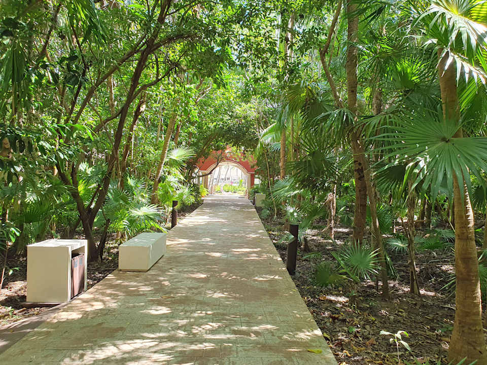 Gartenanlage Catalonia Playa Maroma