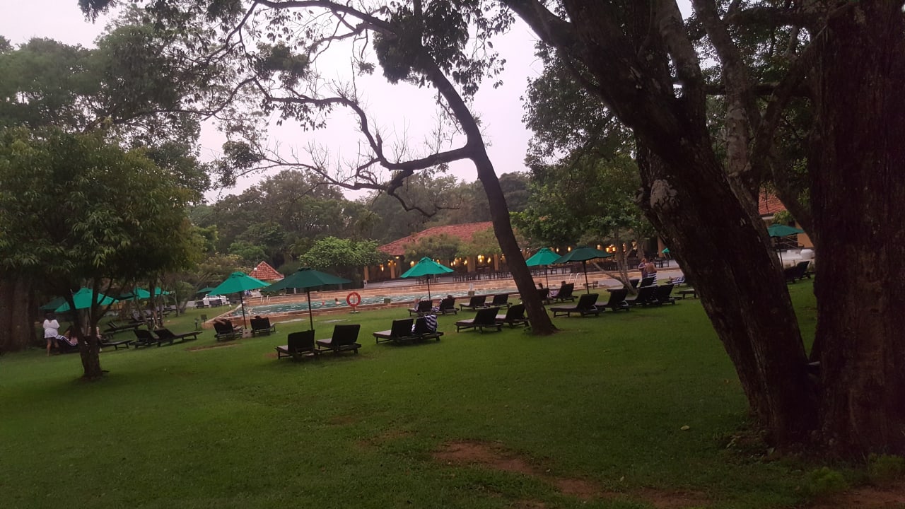 Pool Habarana Village by Cinnamon