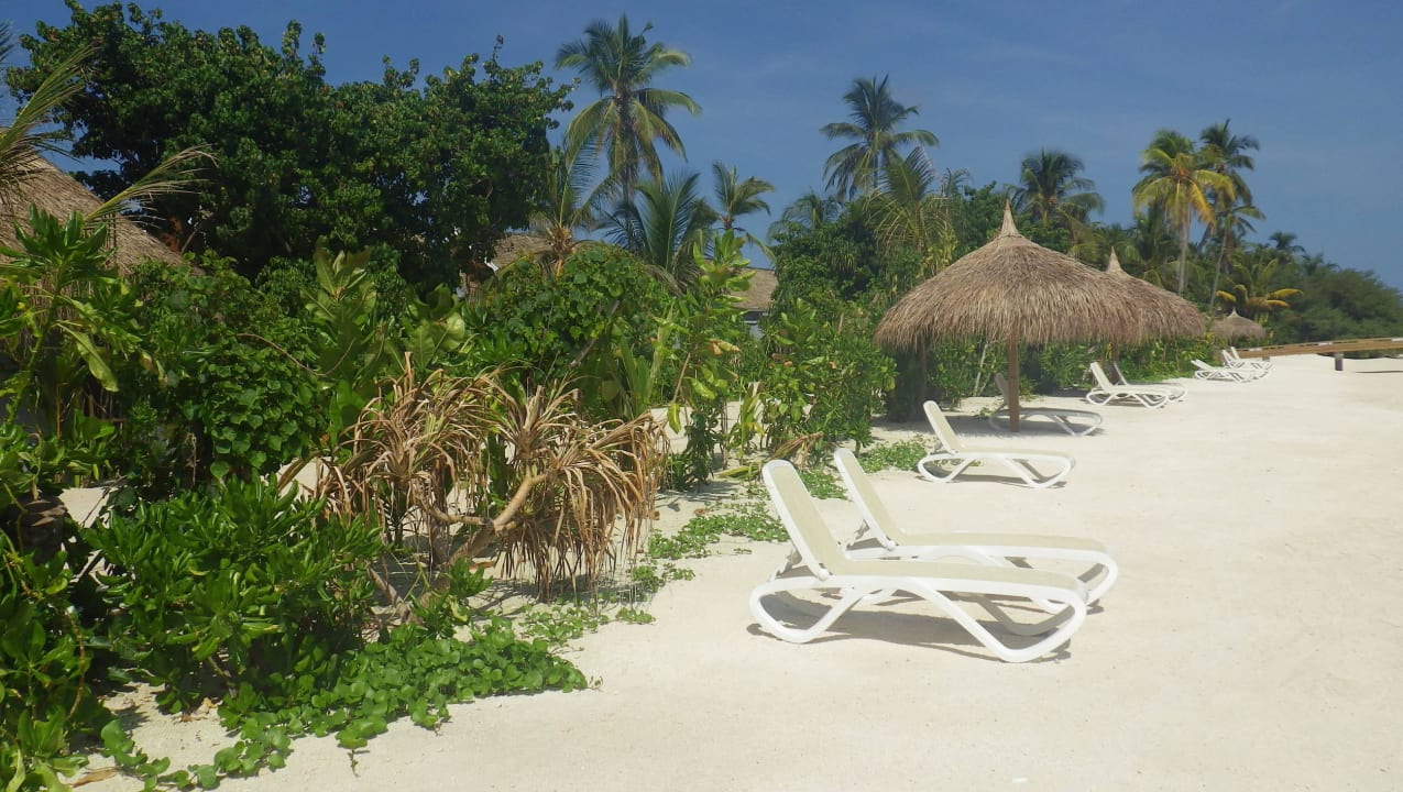 Strand an der Lagunenseite Kuramathi Maldives