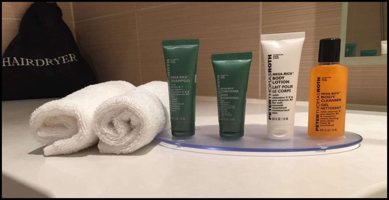 Bad Hilton Garden Inn Frankfurt Airport