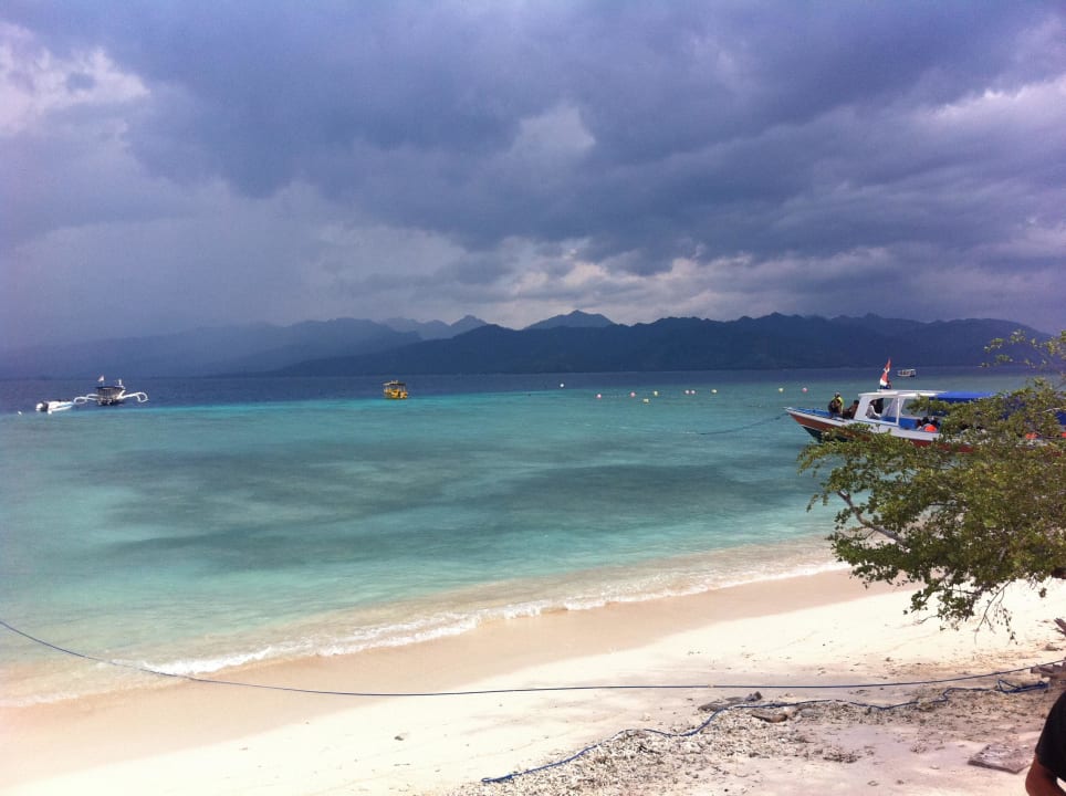 Immer tolle Farben Hotel Scallywags Resort