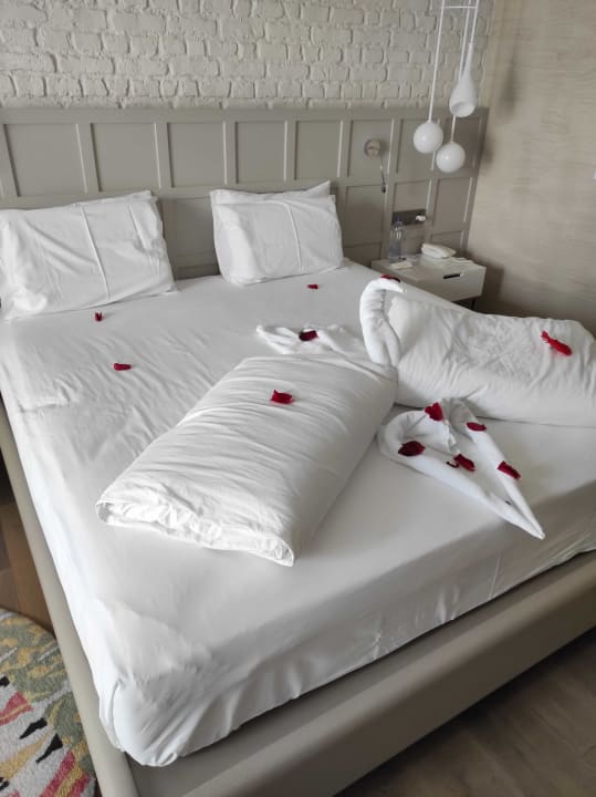 Zimmer Acanthus Cennet Barut Collection