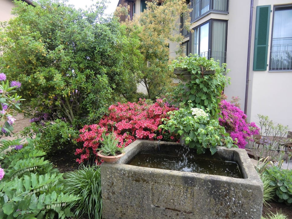 Gartenanlage am Haus Verena Hotel Hirschen Horn | Refugium am See