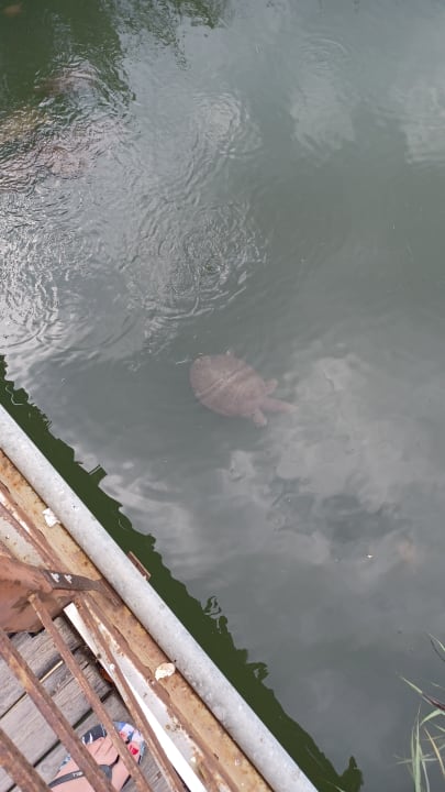 Sonstiges TUI BLUE Xanthe